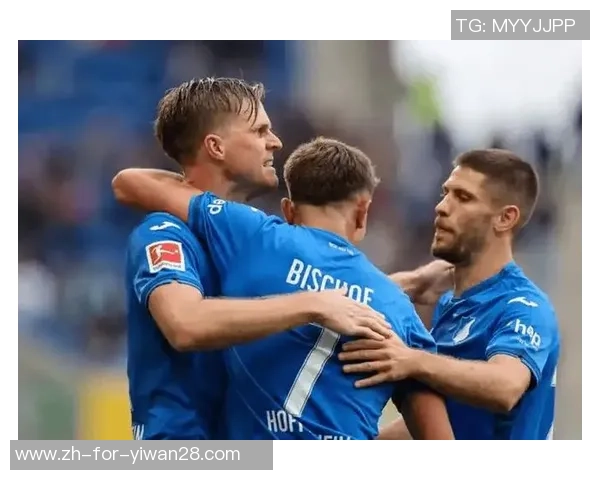 德甲精彩对决霍芬海姆主场迎战门兴格拉德巴赫争夺三分